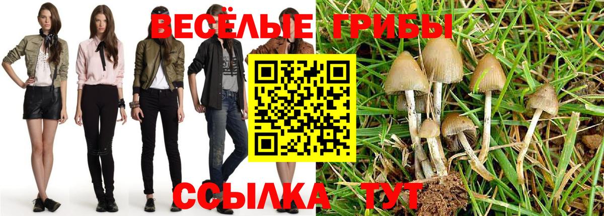 Псилоцибиновые грибы прущие грибы  Вход с VPN  купить наркотики цена  Псилоцибиновые грибы Cubensis  Кудымкар 