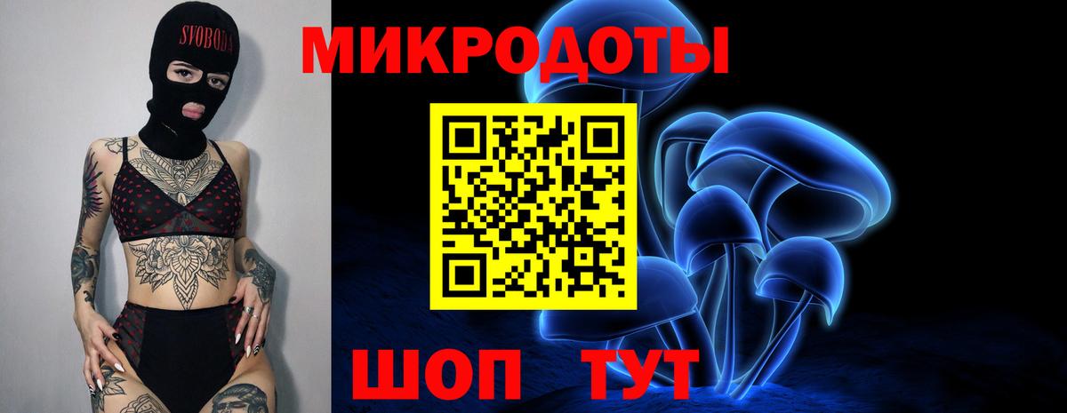 Псилоцибиновые грибы Psilocybine cubensis Кудымкар